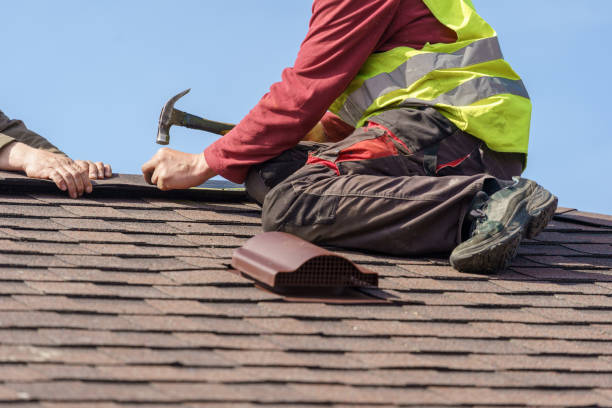 Best Storm Damage Roof Repair  in Pine City, MN