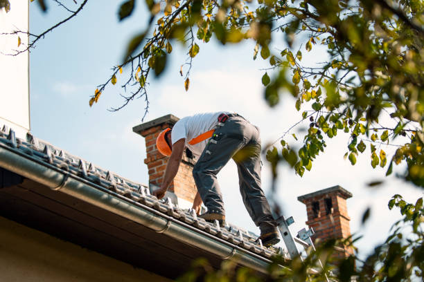 Quick and Trustworthy Emergency Roof Repair Services in Pine City, MN