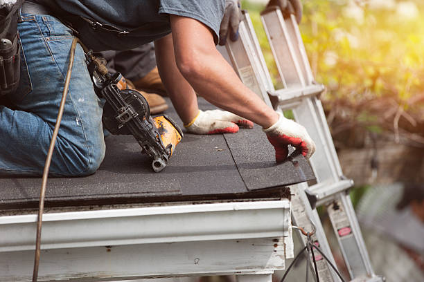 Roof Installation Near Me in Pine City, MN