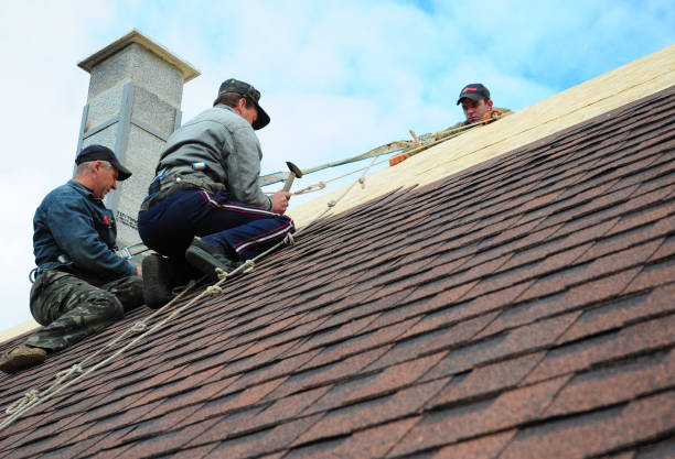 Best Emergency Roof Repair  in Pine City, MN